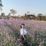 Aoy Ketsararat Chumsrisil profile icon