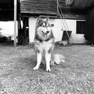 Wachiraporn Ning Boonpang profile icon