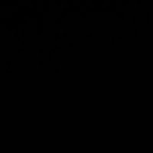 Arisara Chaibamrung profile icon