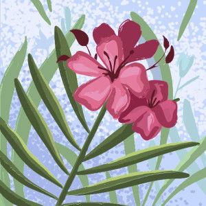 Nadia Maria profile icon