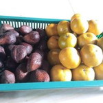 Shafiya Dzikra profile icon