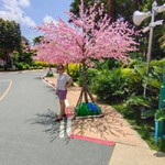 Eve Thanamarth profile icon