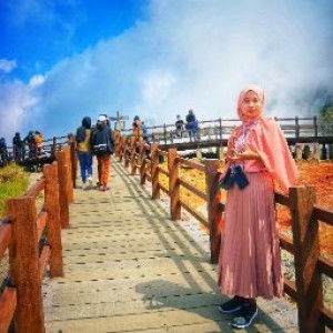 Dini Luf profile icon