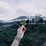 ชีวิตยังคง สวยงาม profile icon