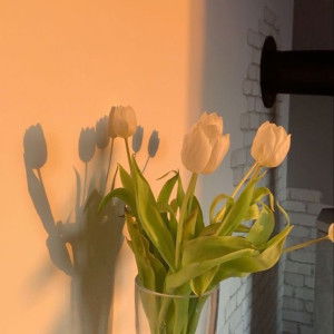 Glenda Tonquin profile icon