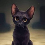 Bellen Siccuan profile icon