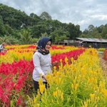 Wiwied Echaa Aqila Jasmine profile icon