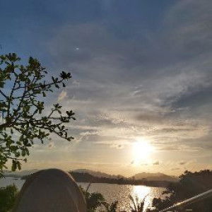 PJ Studio profile icon