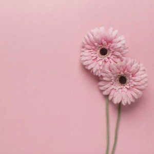 Ummu Abdirrohman profile icon