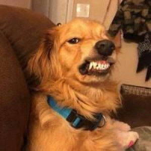 ชอค โกแลต profile icon