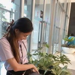 Parinya Aummueang profile icon