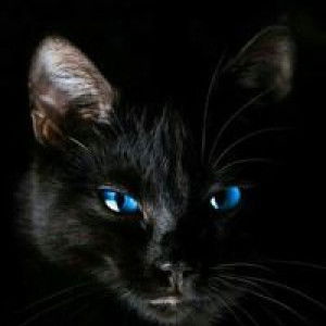 Ja Jirawan profile icon