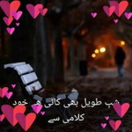 Pari Wasi profile icon