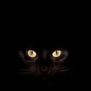 Chon LI Cha profile icon