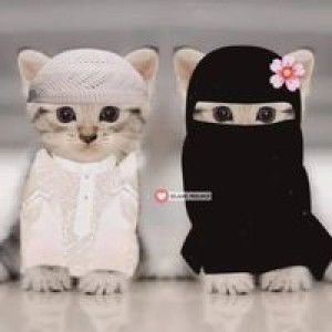 Dyem Mayo-Ampuan profile icon