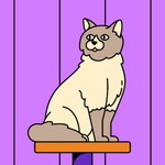 บัญญัติ เส็นสอ profile icon