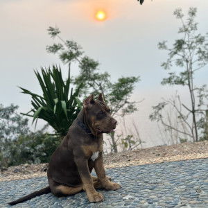 พิมพ์ผกา สร้อยสูงเนิน profile icon