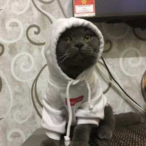 Syazleen Lynn profile icon