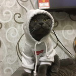 Syazleen Lynn profile icon