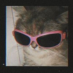 Saowapha Chaiman profile icon