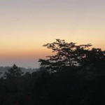 ชนัญชิดา ดวงศรี profile icon