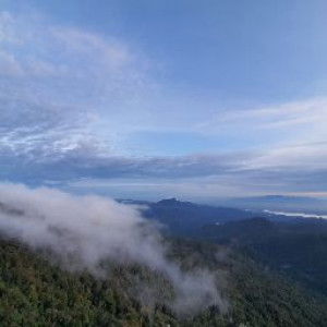 norayikin johari profile icon