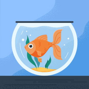 anna el profile icon