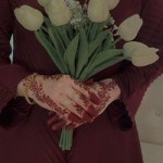 Nur Shazrin profile icon