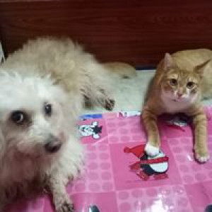 ชาติหน้ามีจริง ไม่ขอเกิดแล้วเหนื่อย profile icon