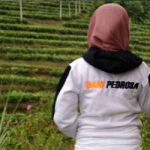 Dina Arini profile icon