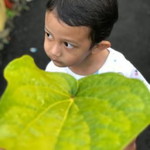 Emmy Widia profile icon