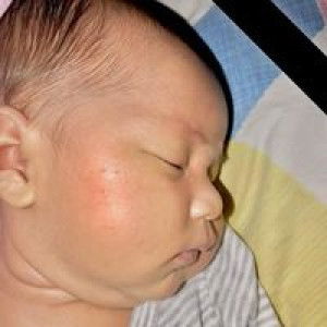 Ella Javier II profile icon