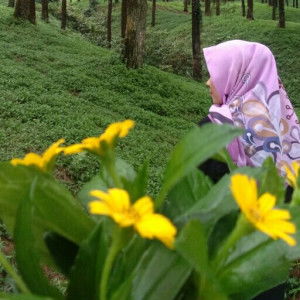 sarah hanifah profile icon