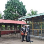 Faraah Izzaty profile icon