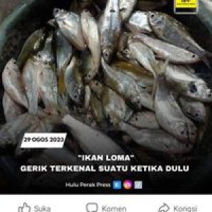 Nur Nurul profile icon