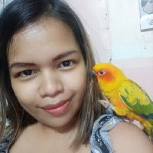 Kc C Padilla profile icon