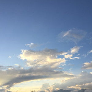 Nita Andriani profile icon