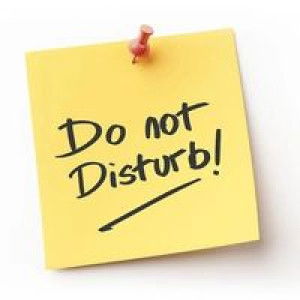 ARina Wrdhn profile icon