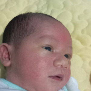 Phúc Phúc profile icon