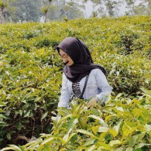 Octa Arum profile icon