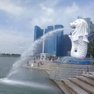 Delfa Yanti profile icon