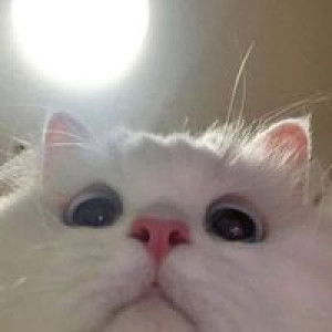 ดิสนี่ย์ ตูน profile icon