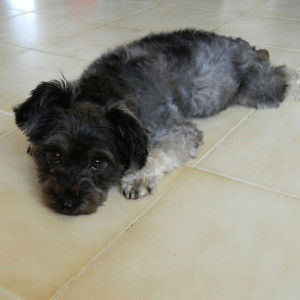 lien0412 profile icon