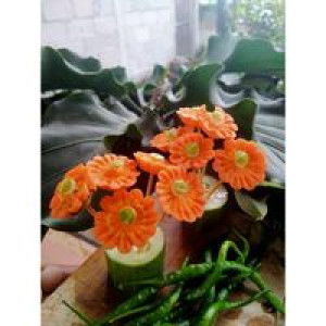 Fuji Eka Kartini profile icon