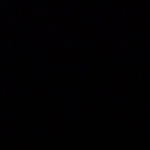 Putri Amelia profile icon