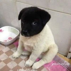 Benz Fadsura profile icon