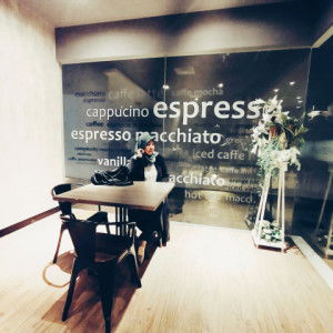 Elif Afrida profile icon