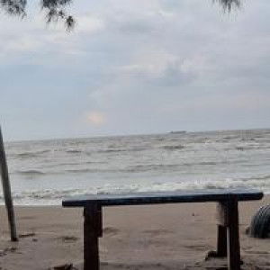 Silvi Destiana profile icon