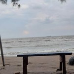 Silvi Destiana profile icon