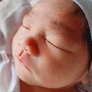 Dino A Figueroa profile icon